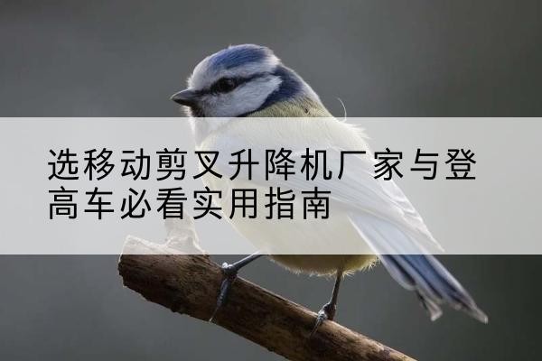 峡江电动升降机厂家-选移动剪叉升降机厂家与登高车必看实用指南