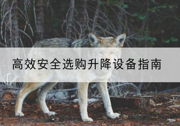 峡江升降货梯厂家推荐-*安全选购升降设备指南